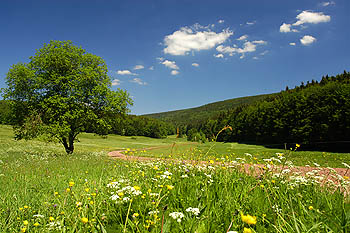 Vessertal